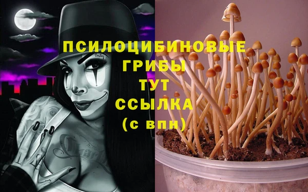 кристаллы Абинск