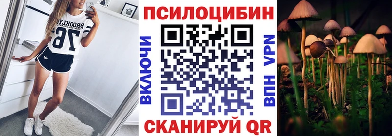 купить наркоту  Белоусово  Псилоцибиновые грибы GOLDEN TEACHER 